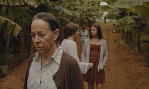 ANTES QUE CANTE EL GALLO