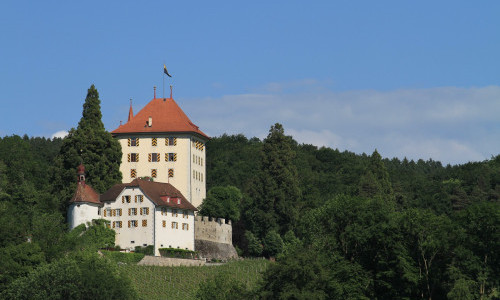 Schloss Heidegg