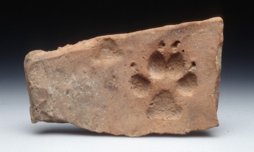 Ein Griff in die archäologische Geschichtenkiste – Bauen und Gebäude