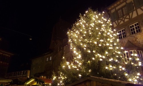 Mehrzweckhalle Schanz