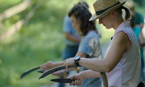 Mit der Sense durchs Gras