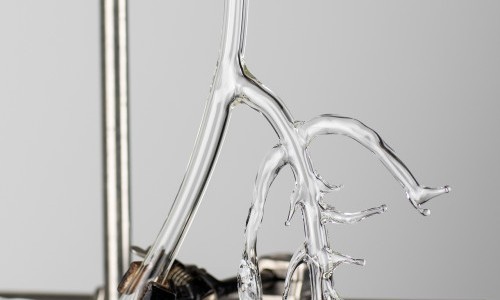 Kuratorenf&uuml;hrung. Auswahl 25