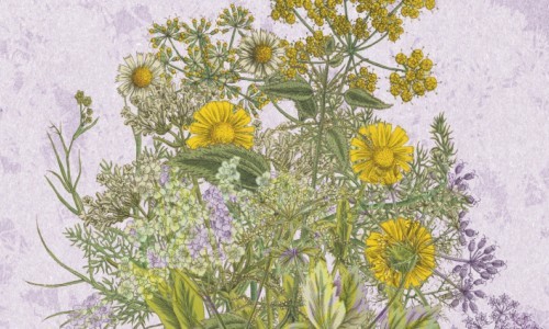 Allein die Dosis macht's