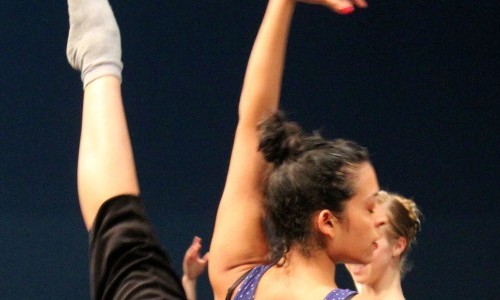 Das Tanzfest Region Basel 2026: Profitraining