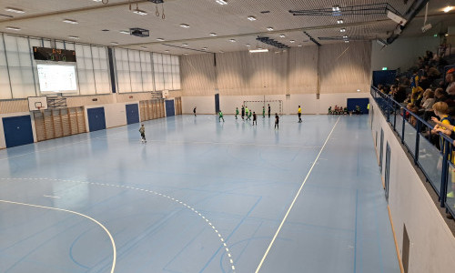Sporthalle Lachen