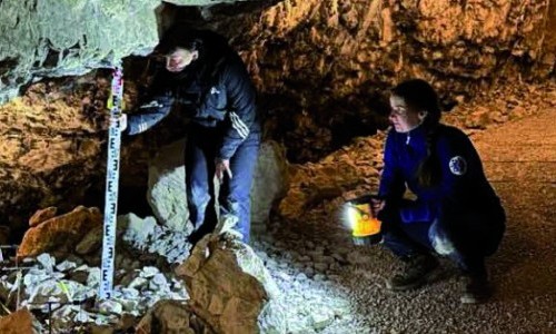 H&ouml;hlenB&auml;renJ&auml;ger?