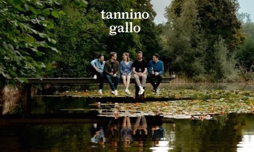 Pop-up Weinbar von tanninogallo