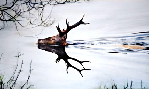 Thomas Th&uuml;ring: &laquo;&uuml;ber Wasser&raquo;