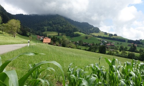 2026 - Jubil&auml;um zu 25 Jahren Pilgerstamm