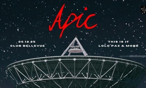 CHRISTMAS HOUSE PARTY – APIC