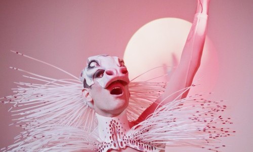 Queere Tiere &ndash; ein ungeh&ouml;riger Liederabend von Soya the Cow & Piano Prince