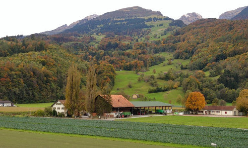 Saxhof
