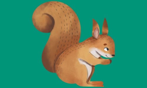 Familien-Abenteuer Eichhörnchen