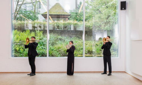 Open Chamber Music (OCM)