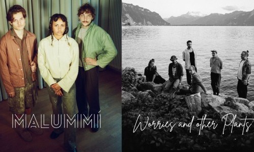 Malumm&iacute; & Worries And Other Plants (Folk/Indie/Rock)