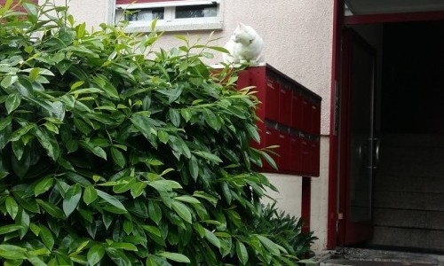 Spielplatz Looslistrasse 15