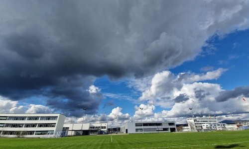 M&ouml;hlin Steinli B