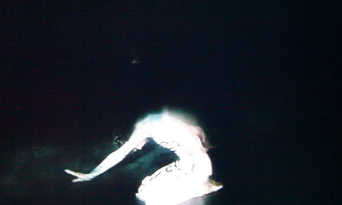 Film Screening: &laquo;Night for Day&raquo; by Emily Wardill