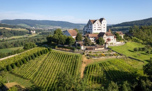 Internationaler Museumstag