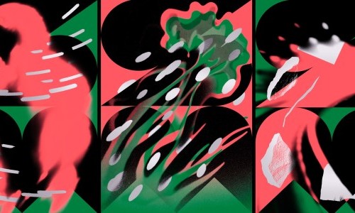 Sonic Matter Festival 2026