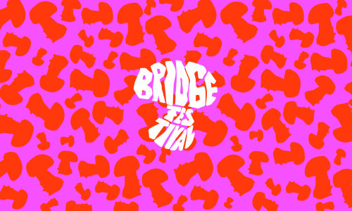 Bridge Festival 2026