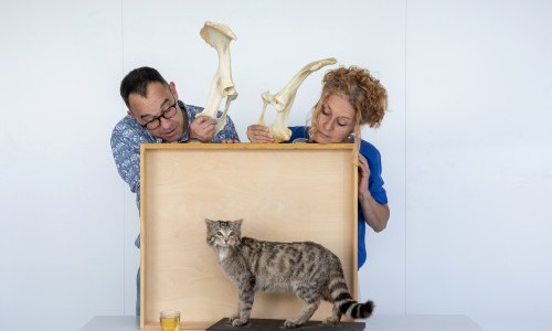 Wissen-Saft – Auf ein Glas mit...