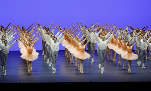 taZ &ndash; Curtain Up!
