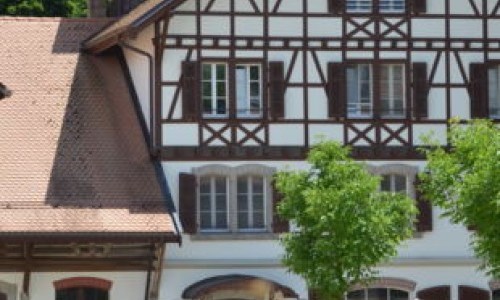 Le Haras National, capitale du cheval au quotidien