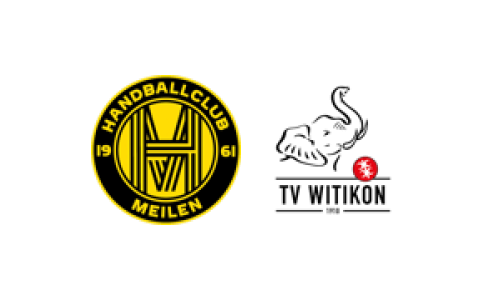 SG Z&uuml;ri- Obersee - TV Witikon 1