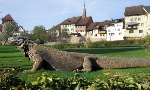 "Advent, Advent, das Lichtlein brennt" und "Auslese #25"