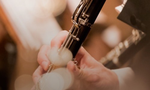 Collegium Musicum Basel: Junge Talente