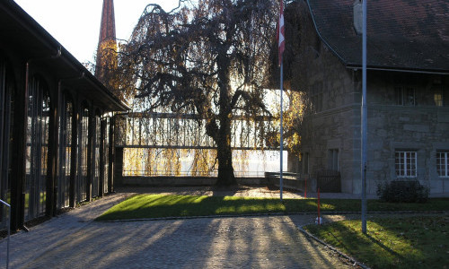 Vitromus&eacute;e