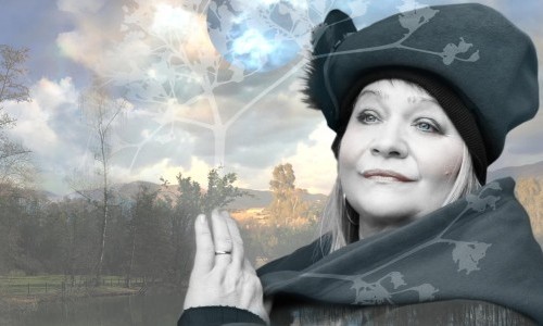 Dodo Hug &ndash; &laquo;dodoLogie&raquo;