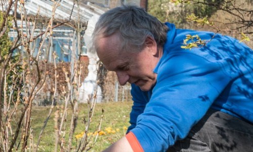 Gr&uuml;n statt Grau &ndash; naturnahe Pflege im Quartier
