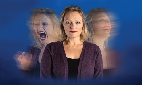 Fascht Normal (Next to Normal) - Das Musical