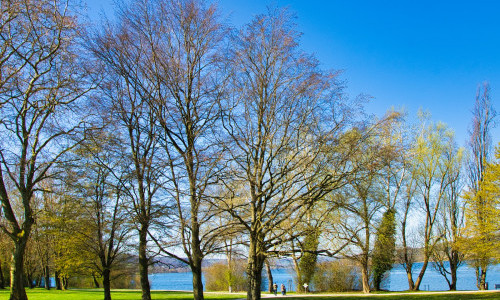 Feldbachhalle