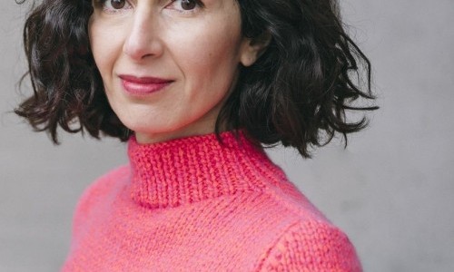 Joy Williams – Stories 2