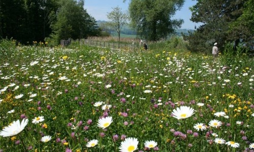 &laquo;Schau rein&raquo; Vielfalt vor der Haust&uuml;r