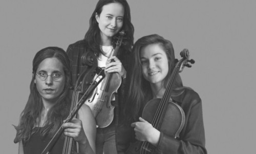 Konzert im Paradies - Streichtrio vom Feinsten