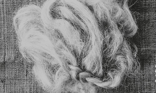 Tradition, Rituale, Drag und Konservatismus