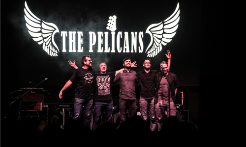 The Pelicans