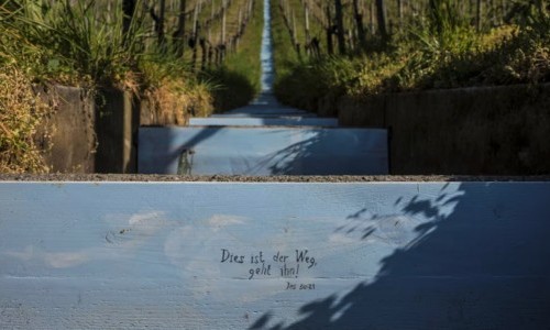 Vincent Fournier &ndash; Scala claustralium