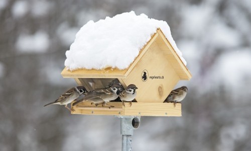 "Schau rein" Vielfalt vor der Haust&uuml;r