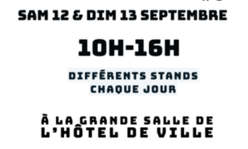 #8 SALON DU VIDE DRESSING A BULLE