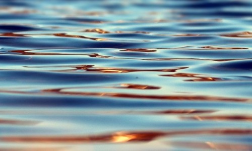 halb eins &ndash; Wort Musik Stille