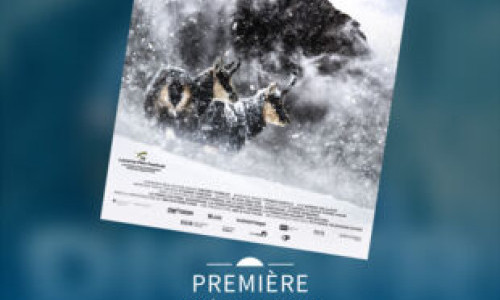 Premi&egrave;re de "DERBORENCE - LE TEMPS DES ANIMAUX"