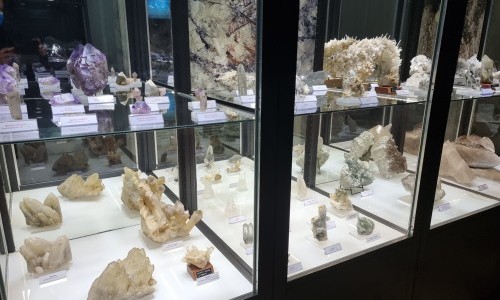 Musée des Sciences de la Terre