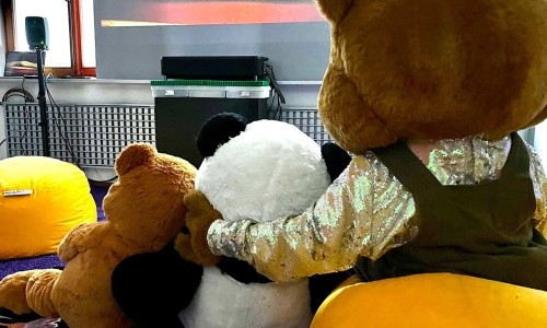 Teddy &ndash; von Legende bis Lifestyle: Bastel-Werkstatt