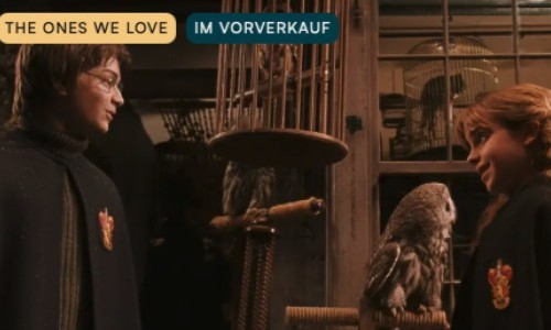 Harry Potter and the chamber of secrets