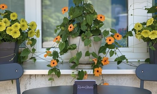 Gemeindehausplatz Volketswil